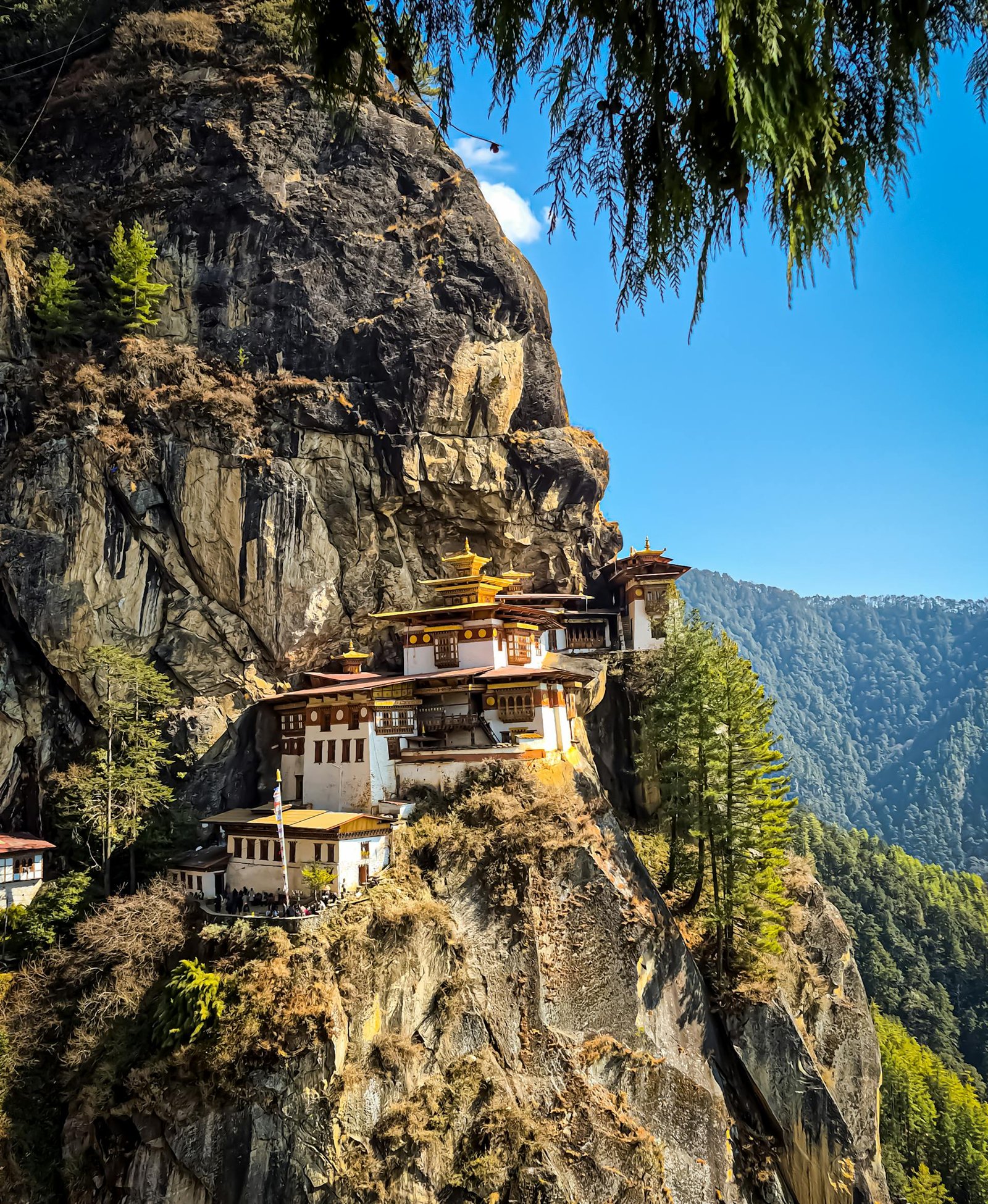 Bhutan Cultural & Nature Tour – 9 Days