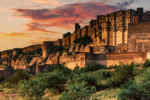 AEI- 335 Rajasthan Sensacional 08N-09D 1920 900 PX