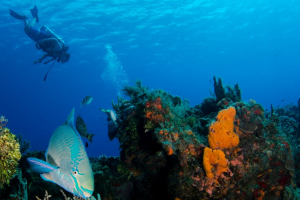 Maldives 7N-8D 1920 900 PX